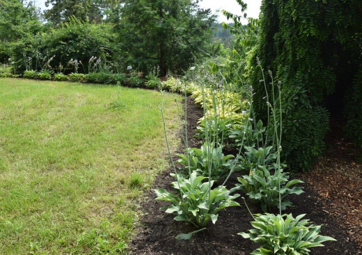 Východoasijská zahrada