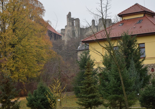 Novosvětská zahrada